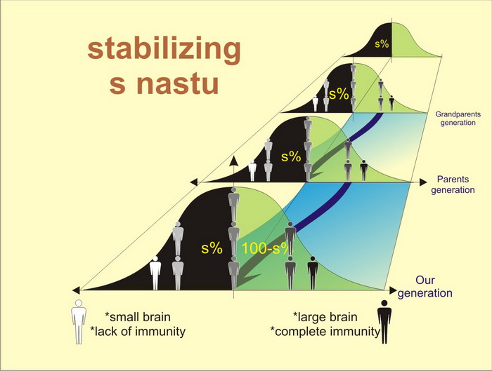 Stabilizing 'S per hundred' diagram