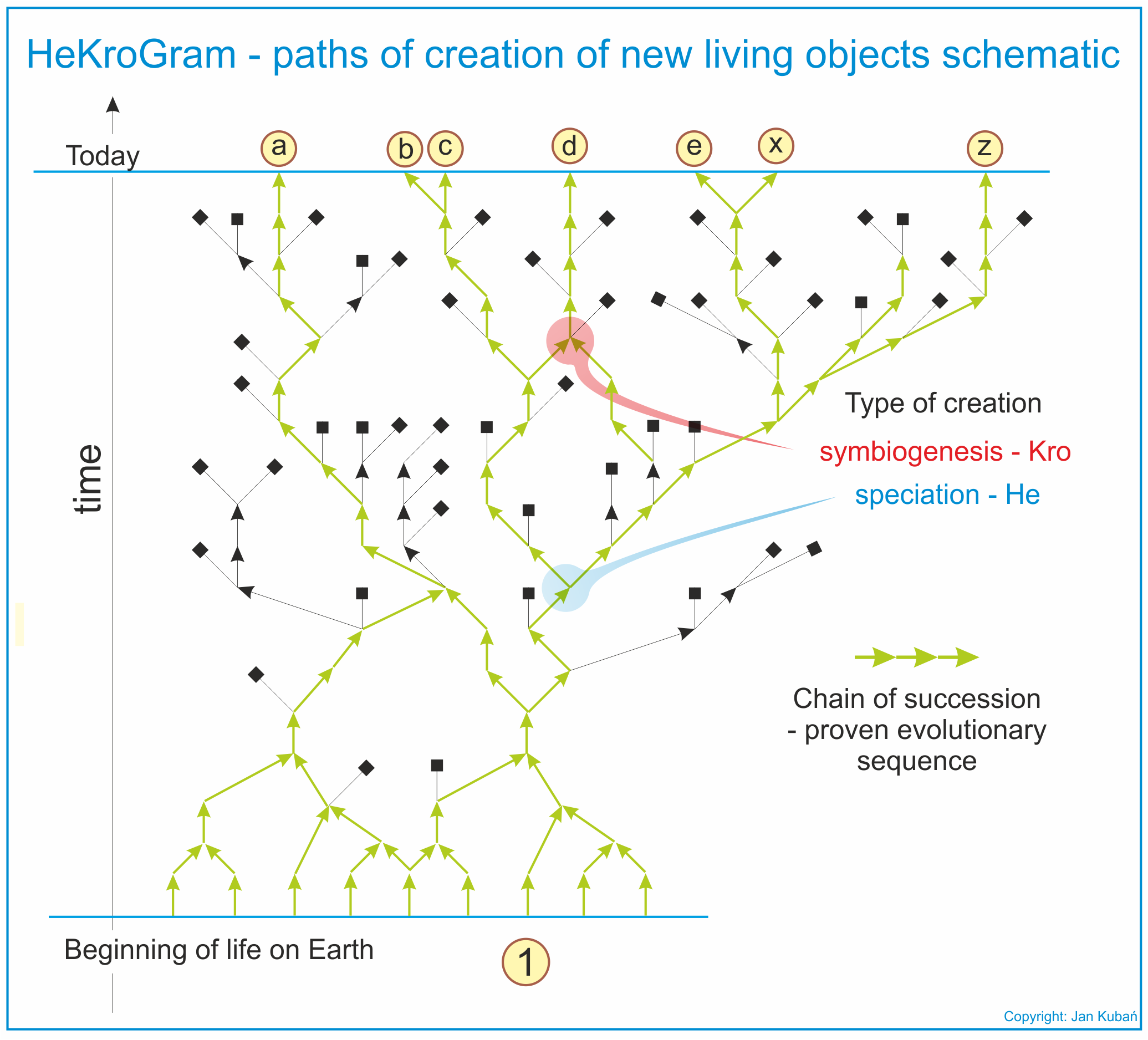 HeKroGram - paths of creation of new living objects schematic